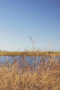 How to Be More Present While Traveling and in Life - The Wanderful Soul Blog