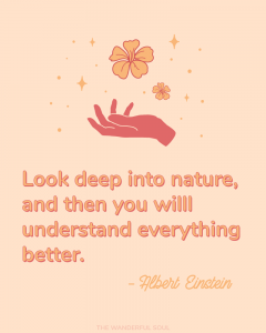 Inspiration Albert Einstein Quote - The Wanderful Soul Blog