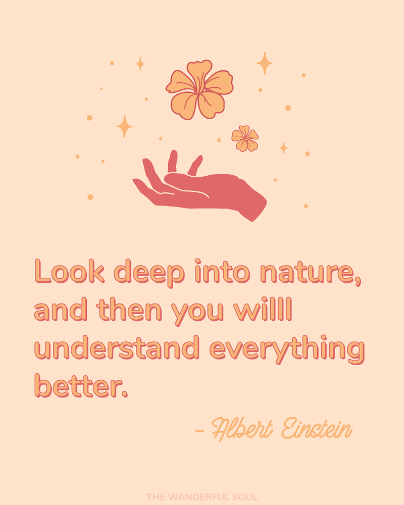 Inspiration Albert Einstein Quote - The Wanderful Soul Blog