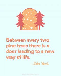 Inspiration John Muir Quote Pt. 2 - The Wanderful Soul Blog